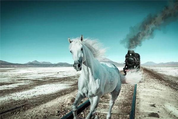 周公解梦，梦见马追我——追逐中的自由与挑战