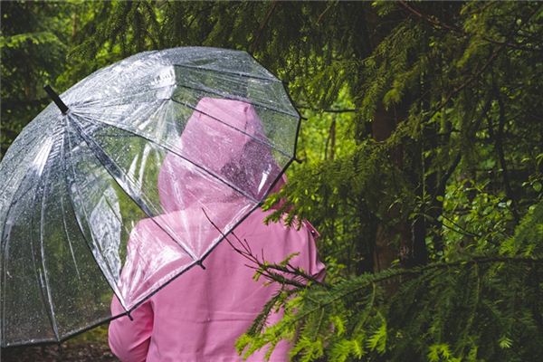 夢見下雨買傘