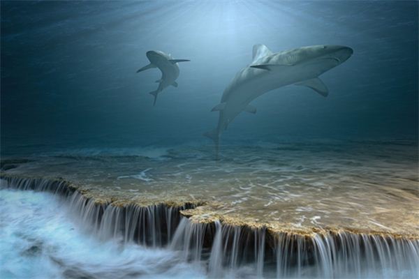 梦见很多大鱼_周公解梦梦到很多大鱼是什么意思_做梦梦见很多大鱼好不