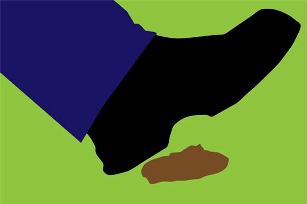 梦见踩到狗屎