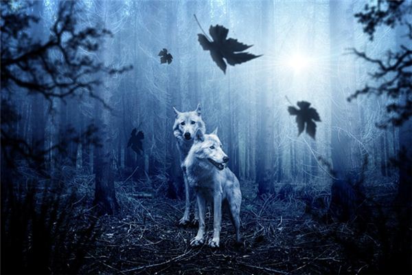 周公解梦,梦见被人追赶的深层含义与心理解析 周公解梦,梦见被人追赶的深层含义与心理解析