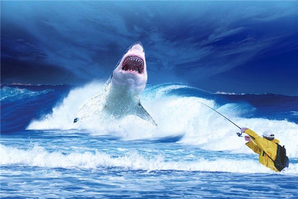 梦见鱼跳起来咬我