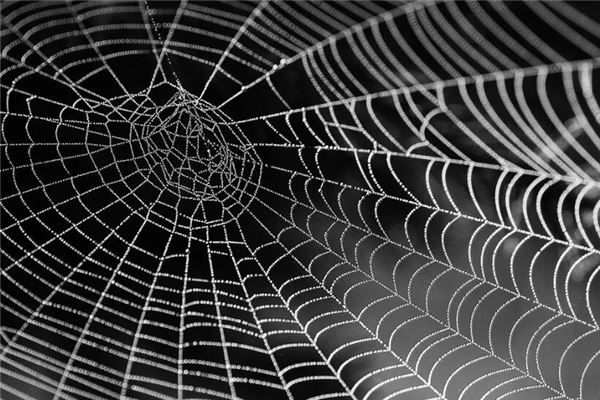 梦见除掉蜘蛛网 周公解梦