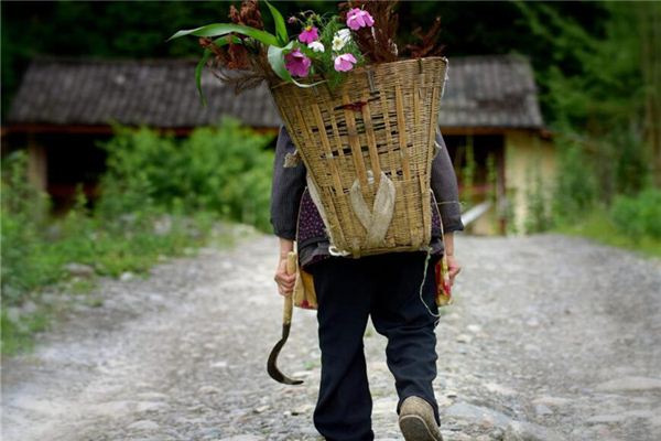 梦见用背篓背东西