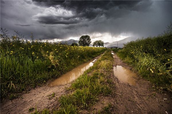 梦见雨后道路泥泞