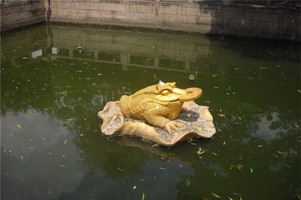 三脚蟾蜍有哪些说法