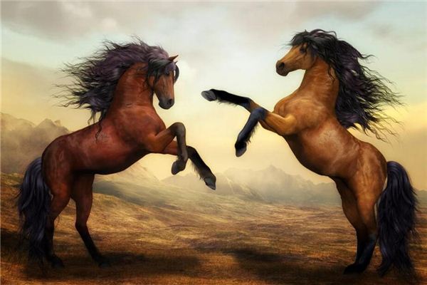 梦见动物攻击自己是什么意思 周公解梦