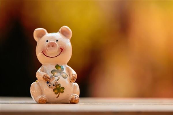 梦见打猪是什么意思 周公解梦