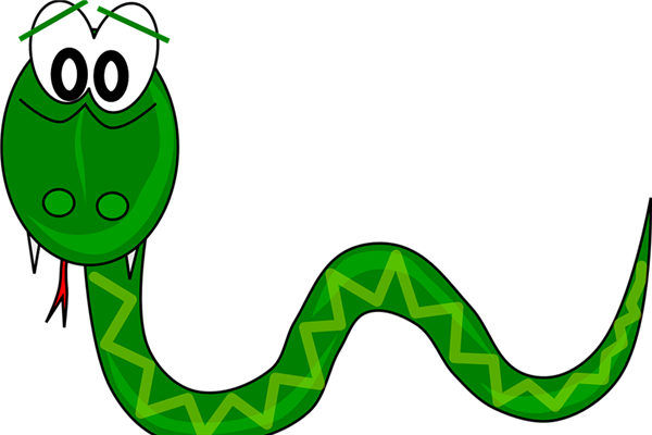 梦见被一条绿蛇追跑还被吓醒了,潜意识中的警示与内心焦虑的映射 梦见被一条绿蛇追跑还被吓醒了,潜意识中的警示与内心焦虑的映射