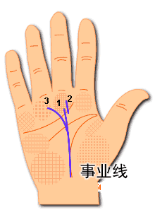 事業線圖解2