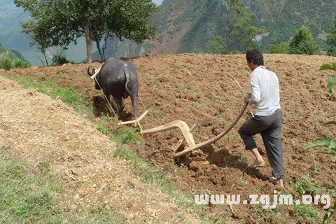 犁地的犁图片大全,老式农用犁图片,耕犁图片_大山谷图库