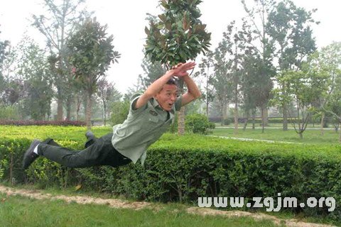 梦见像小鸟一样在山林上飞翔是什么意思 梦见像小鸟一样在山林上飞翔有什么预兆