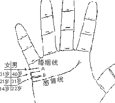 看手相算命图解：手相看婚姻