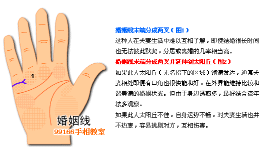 手相图解大全：2、婚姻线分析