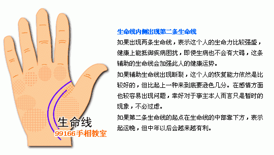 手相图解大全：4、生命线看健康