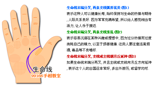 手相图解大全：4、生命线看健康
