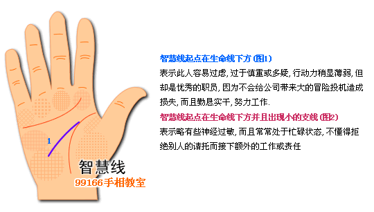 手相图解大全：5、智慧线看个性