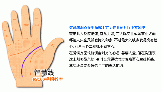 手相图解大全：5、智慧线看个性