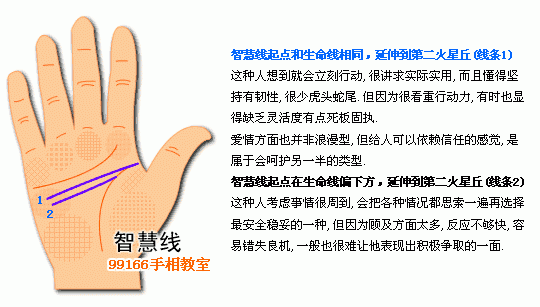 手相图解大全：5、智慧线看个性