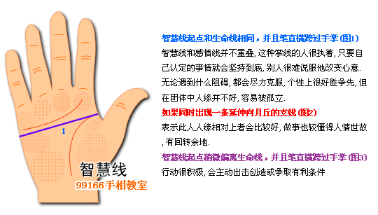 手相图解大全：5、智慧线看个性