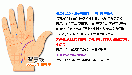 手相图解大全：5、智慧线看个性