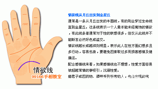 手相图解大全：12、各类掌纹支线