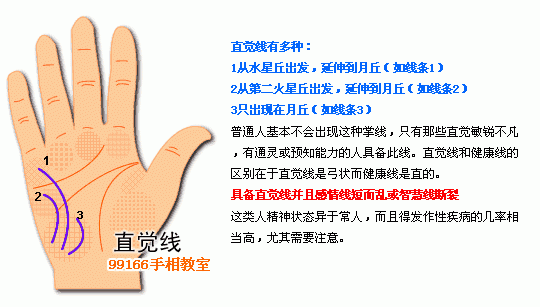 手相图解大全：12、各类掌纹支线