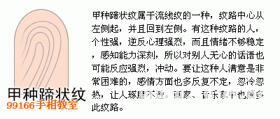 手相图解大全：13、指纹类型全分析