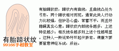 手相图解大全：13、指纹类型全分析