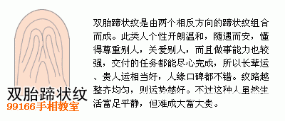 手相图解大全：13、指纹类型全分析