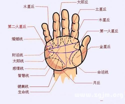 手相图解大全：20、各种常见病手相特征