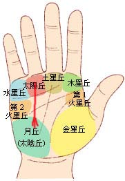 手相图解大全：21、剖析嫁入豪门的掌上玄机