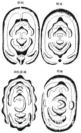 地理啖蔗录卷四穴法补义和扦法