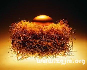 梦境解析，堂屋中的生机与孕育——梦见众多小鸡、巨蛋与柴火的意义