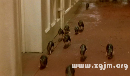 梦境解析,梦见陌生女人死了然后复活要逃跑的深层含义 梦境解析,梦见陌生女人死了然后复活要逃跑的深层含义