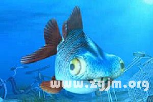 梦境解析，梦到一条好大的鱼死掉意味着什么？