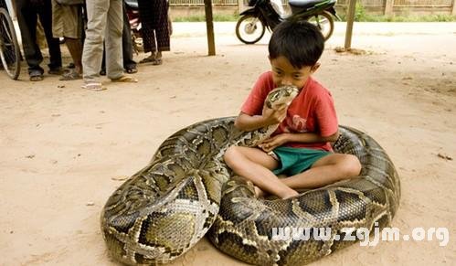 白天梦到大蟒蛇做好朋友,探索梦境背后的深层含义与心理解析 白天梦到大蟒蛇做好朋友,探索梦境背后的深层含义与心理解析