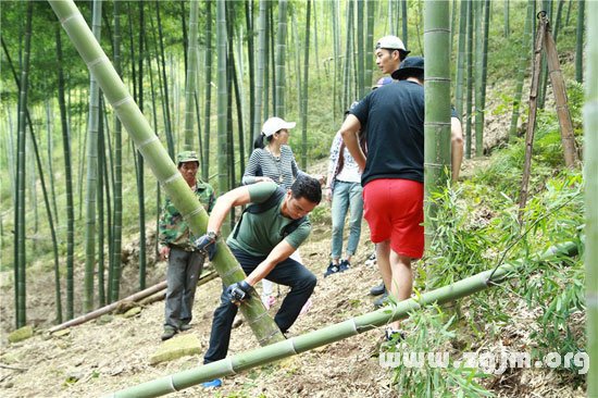 砍竹子最快的工具图片,竹子最快的电动工具,全自动竹机_大山谷图库