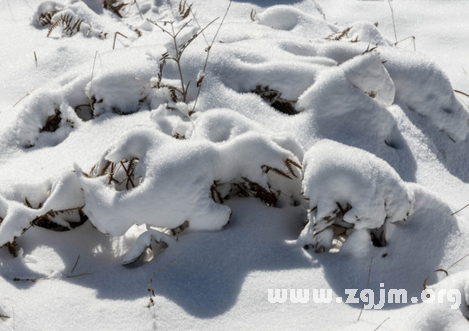 晚上睡觉梦见下雪，解读梦境中的宁静与变化征兆