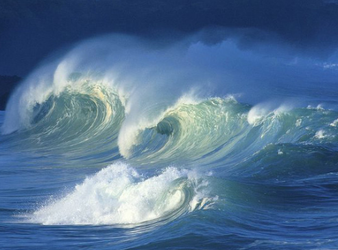 周公解梦,梦见好大一条大鱼在水里游,寓意深远的水中奇缘 周公解梦,梦见好大一条大鱼在水里游,寓意深远的水中奇缘