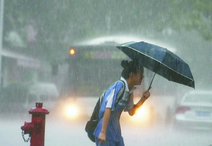 下大雨的图片