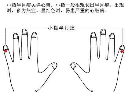 半月痕观健康图解5