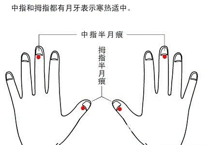 半月痕观健康图解6