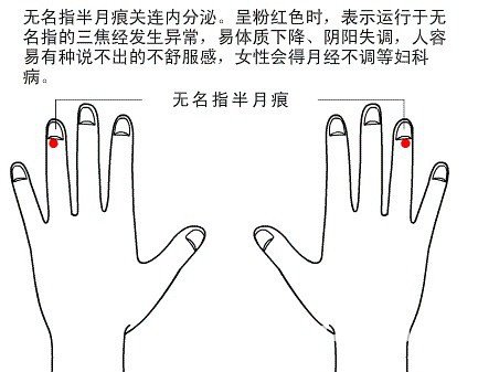 半月痕观健康图解4