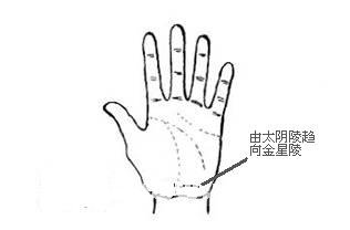 纵欲线