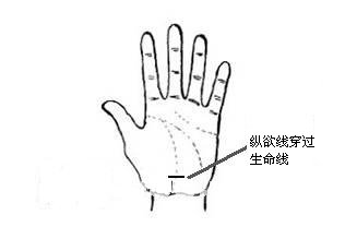 纵欲线