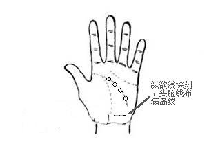 纵欲线