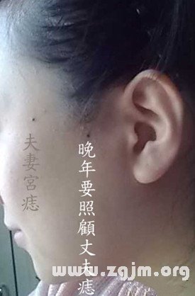 读者照片分折