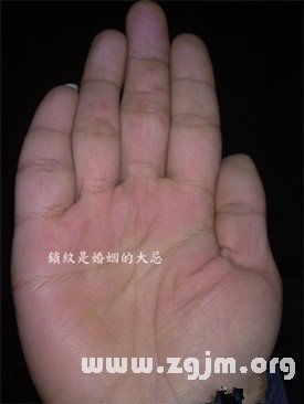 读者照片分析