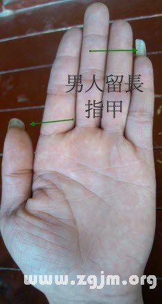 熊老师说掌相56